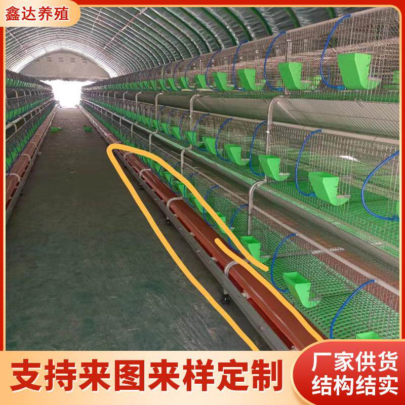 销售欧式24笼位双层繁殖兔笼 养兔用多功能养殖笼具自动喂料兔笼