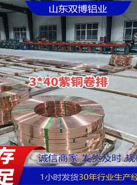 TU2无氧铜片紫铜板软态紫铜卷排25*25紫铜方棒20*200接地镀锡铜排