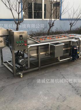型雪大苹果去除农残留气泡清洗机荠菜泡OMB包菜去泥沙气清洗设梨