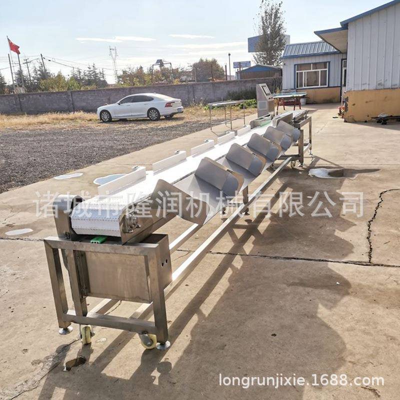 皮带式带鱼分选机 活鱼动态重量分选 全自动鲅鱼检重秤