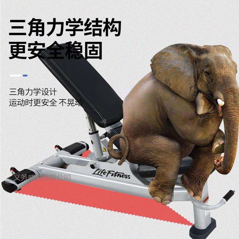 哑铃凳卧推凳家用折叠家庭多功能飞鸟健身椅子器材仰卧起坐辅