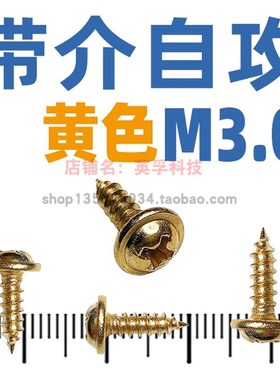 黄色大头M3.0大帽大锣丁介头自攻螺丝钉
