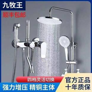 旗舰正品花洒十大品牌全铜淋浴花洒套装家用淋雨卫浴增压硅胶喷头