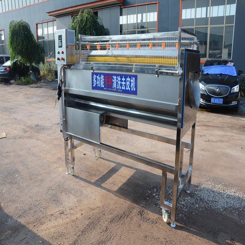 毛辊去皮清洗机芋头去皮清洗机红薯去皮清洗机大姜清洗去皮机