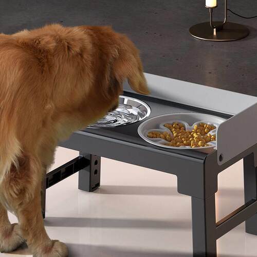 宠物升降喂食碗可调节高度角度狗碗护颈防打翻中大型犬专用高架碗