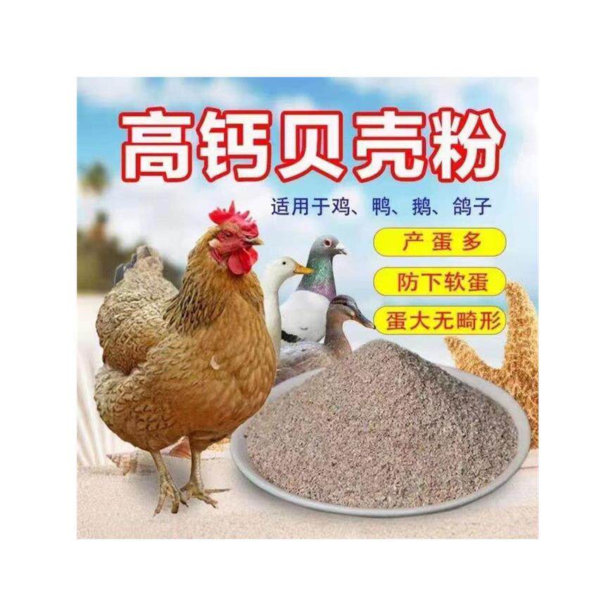 贝壳粉饲料补钙兽用鸡鸭