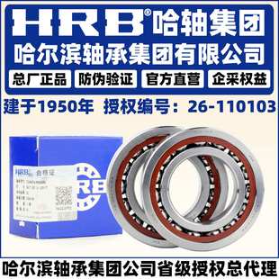 HRB 哈尔滨轴承 7008 7009 7010 7011 ACTA CTA P4 DB DT DF 配对