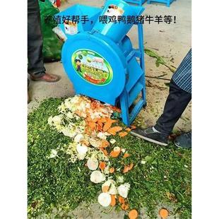 瓜果蔬菜切丁机家用小型电动猪草机红薯藤萝卜土豆木薯养殖切碎机