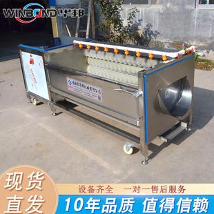 荸荠去泥毛辊清洗机 大姜去皮清洗机 根茎类蔬菜去皮清洗设备