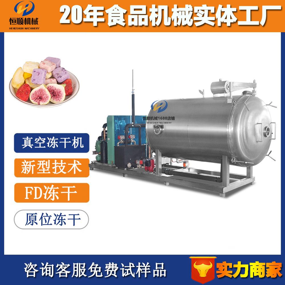 新全自动益生菌酸奶块冷冻式干燥机 牛肉肉制品干燥冻干机