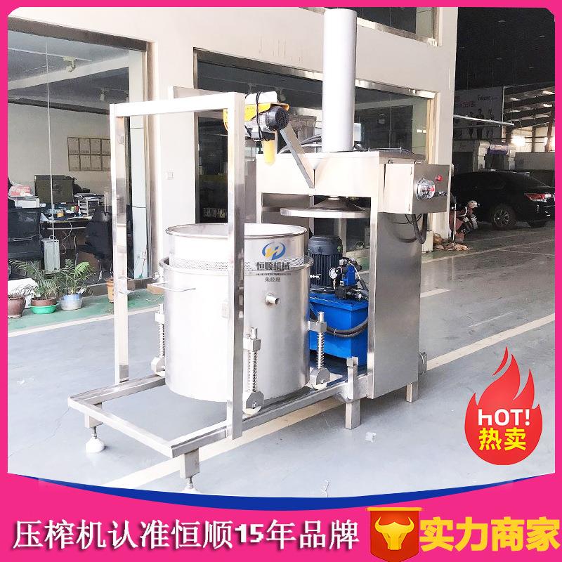 大型水果榨汁器 青梅鲜果果汁取汁压榨机 蓝莓酵素压滤机