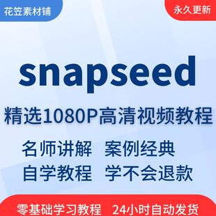 snapseed手机修图视频教程教学培训课程在线零基础入门精通教程