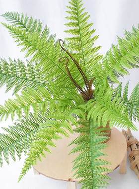 绿色蕨类喷色特大把波斯草 软胶手感植物墙配材 仿真双层波斯蕨