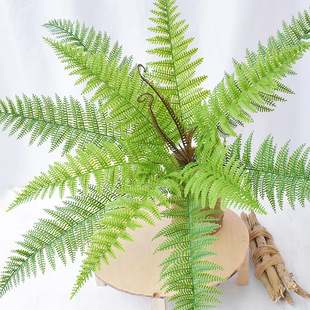 绿色蕨类喷色特大把波斯草 仿真双层波斯蕨 软胶手感植物墙配材