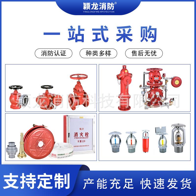 颖龙消防厂定制SQD100新型水泵接合器多用式DN150消防水泵接合器