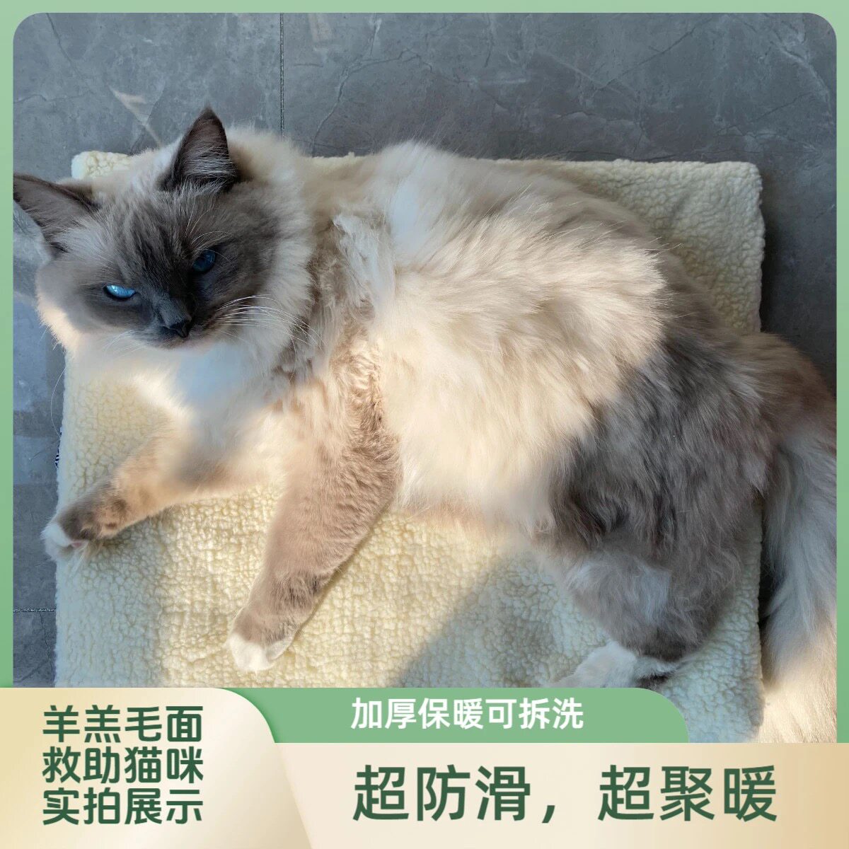 宠物自热垫子家用恒温自动发热保温冬季小狗猫咪通用加厚可拆洗