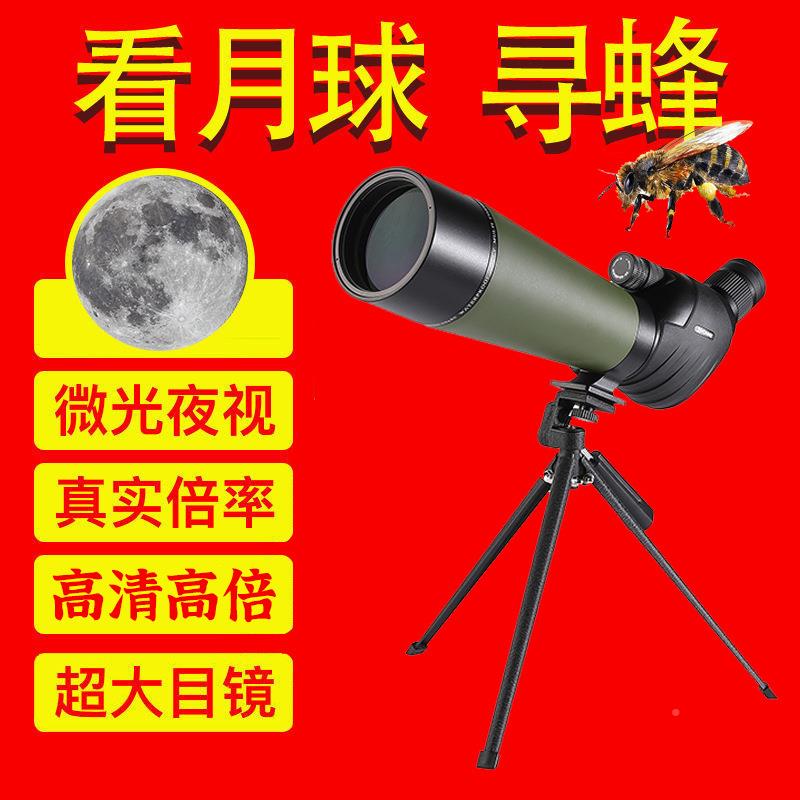 AE20-60-镜70/80筒望远镜观鸟带单支光架微光夜DE20-60-视变倍学