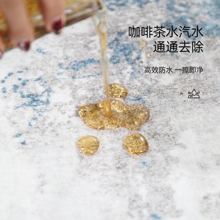 轻奢高级感家用客厅毯加厚房间免洗耐脏地垫 卧室床边地毯2025新款