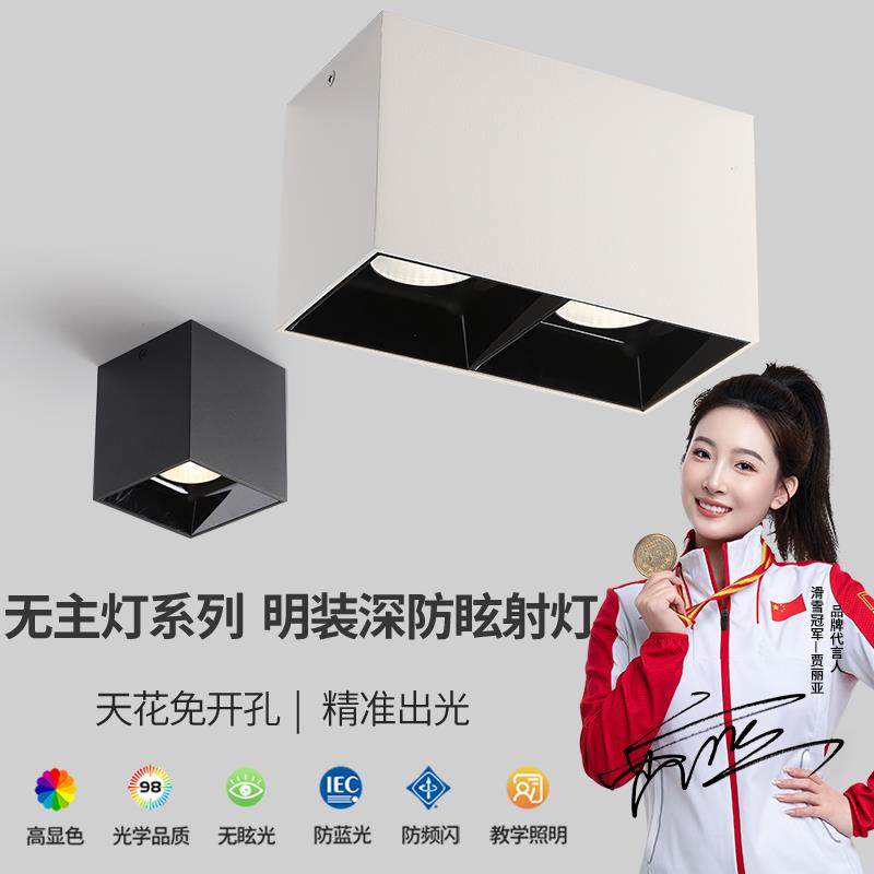 明装射灯双头led无主灯照明客厅灯卧室方形聚光防眩吸顶式斗胆灯,家装灯饰光源,明装射灯,淘宝优惠券,粉丝福利购,淘宝优惠卷