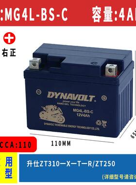 升仕ZT310-X-R-T-V机车胶体电池ZT250R电瓶12V4A蓄电池免维护