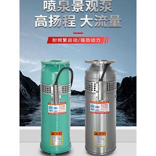 喷泉专用水泵不锈钢喷泉泵花园水景Qsp音乐社区景观源厂家