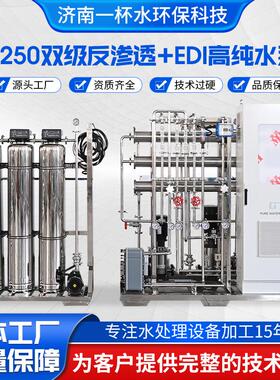 实理验室制反药光伏半导体用水EDIR超纯水处反渗透设备 O渗透设备