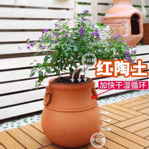 特价红陶花盆陶土无釉花盆粗陶陶盆红陶盆庭院落地大别墅阳台种花