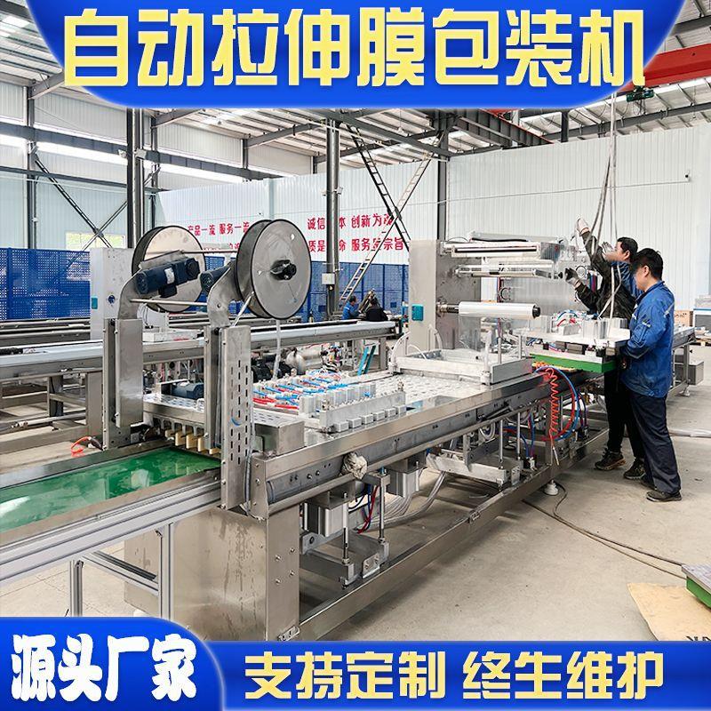 脆笋肠自动包装机大肉丸枣肠真空包装机红肠自动拉伸膜包装机