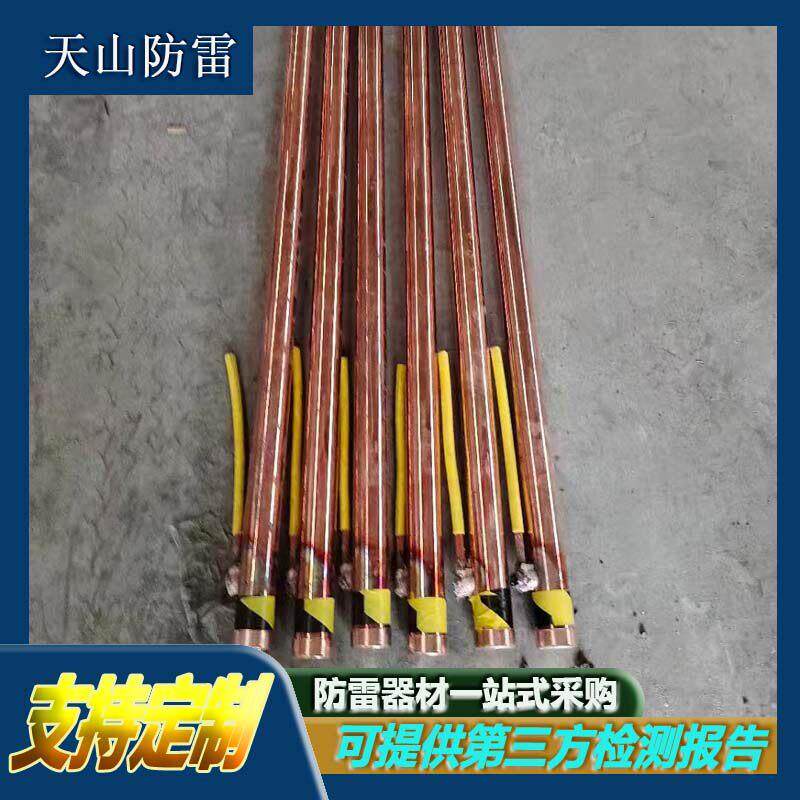铜覆钢离子接地极铜包钢离子接地桩防雷接地棒离子接地极