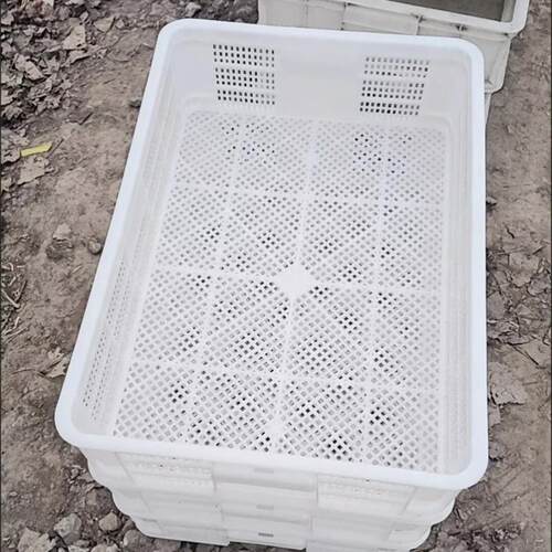 长方形透气鱼虾蔬菜水果筐收纳篮大虾物流箱转运塑料篮耐用运输箱