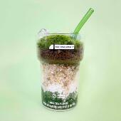 自然引力 抹茶拿铁 创意微观绿植办公桌面植物苔藓微景观DIY盆栽