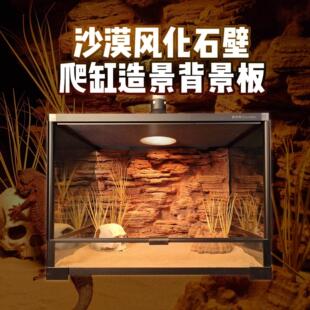 壹柒萌立体沙漠风化岩壁爬宠饲养箱60*45背景板鬃狮蜥爬宠造景板