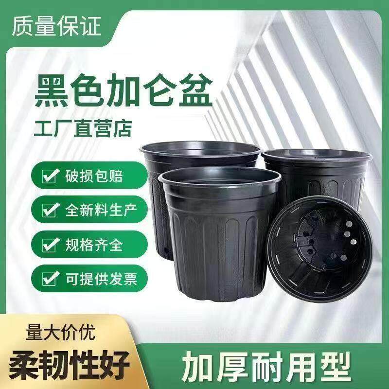 黑色加仑盆软塑胶花盆营养钵育苗盆简易苗圃花盆种植加厚加仑花盆
