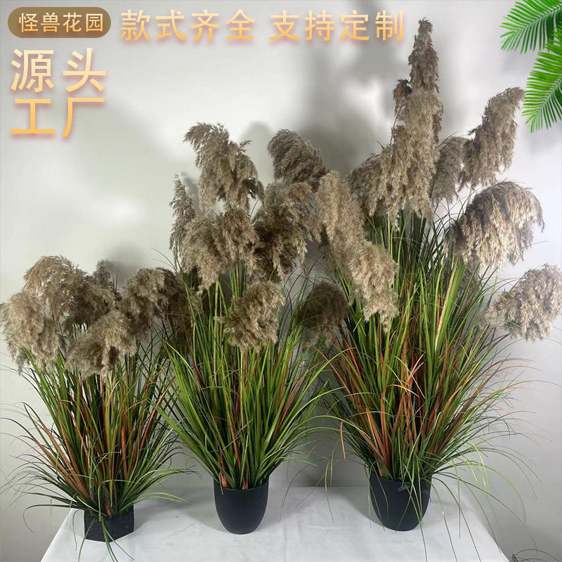 仿真芦苇草假花橱窗美陈露营风
