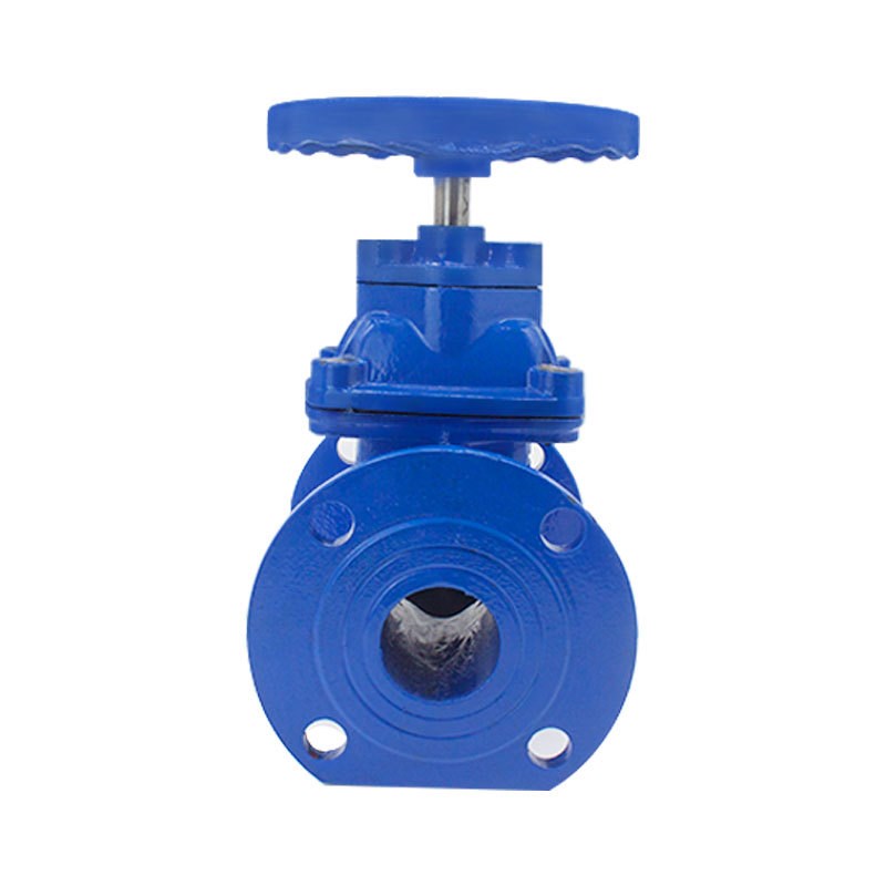 法兰闸阀a 球墨铸铁Z45X Z41X-16Q 弹性座封 暗杆软密封闸阀 DN10