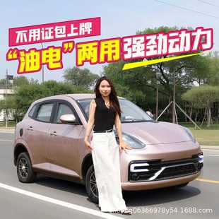 电甁轿车 电动四轮汽车家用老头乐代步成人女士新能源油电两用新款