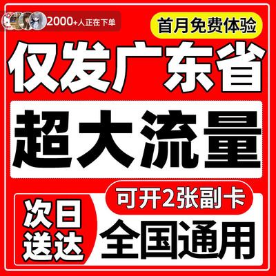 【仅发广东】广东流量卡纯流量上网卡全国通用大流量手机卡5G卡4G