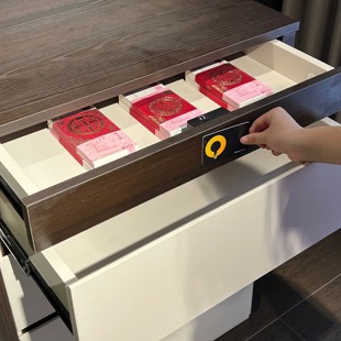 智能暗格斗柜柜私人保险柜双暗格设计带感应锁机械侧开大容量储物