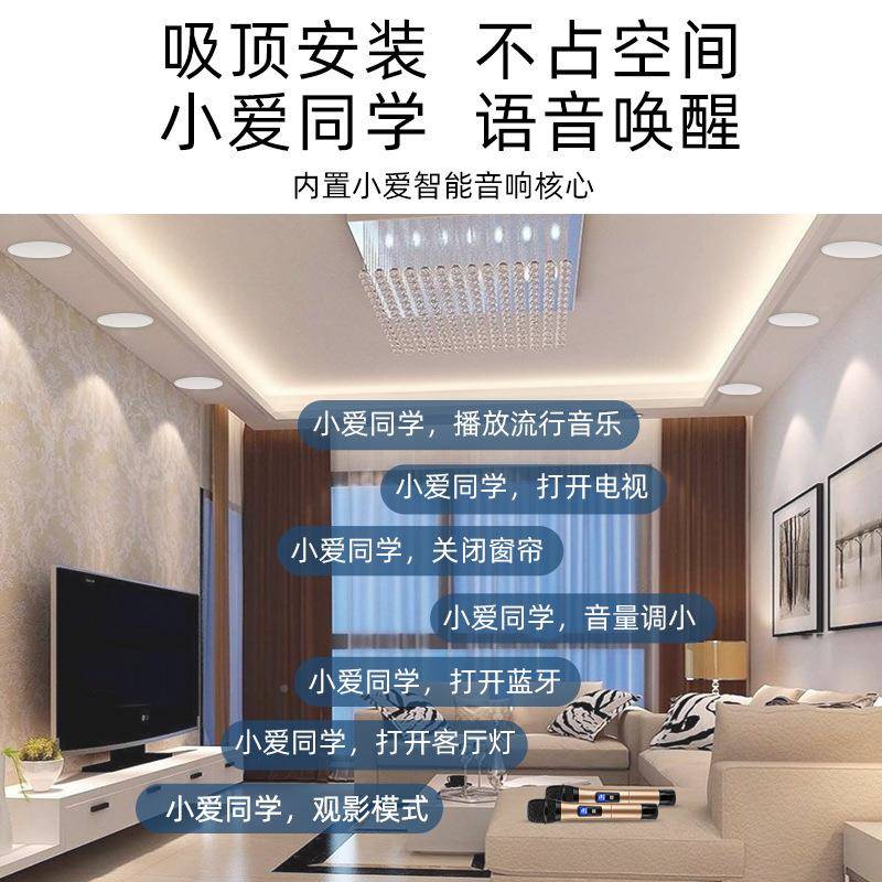 P小爱RO5.1吸顶音JIC响主机家居庭影院箱语音声控K音歌智能家控制