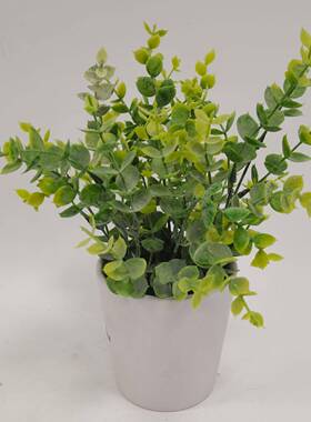 假植尤真加利仿盆栽桌面JHU人造盆景迷你假花物绿植绿客厅装饰品