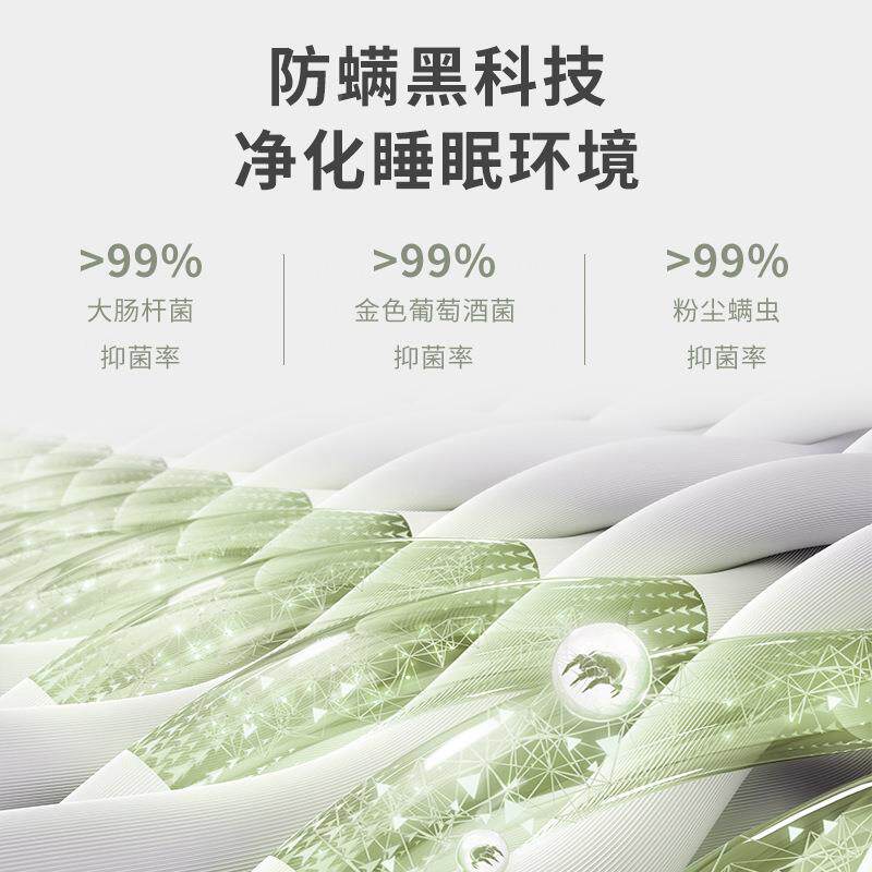 席米梦思弹用簧床垫2cm厚双人1.5m1PQ.8酒店家乳胶软垫0椰棕硬垫