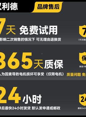 锂电锯无刷大电功率链锯手伐提木工锯IIM户外树木充砍电式便携锯