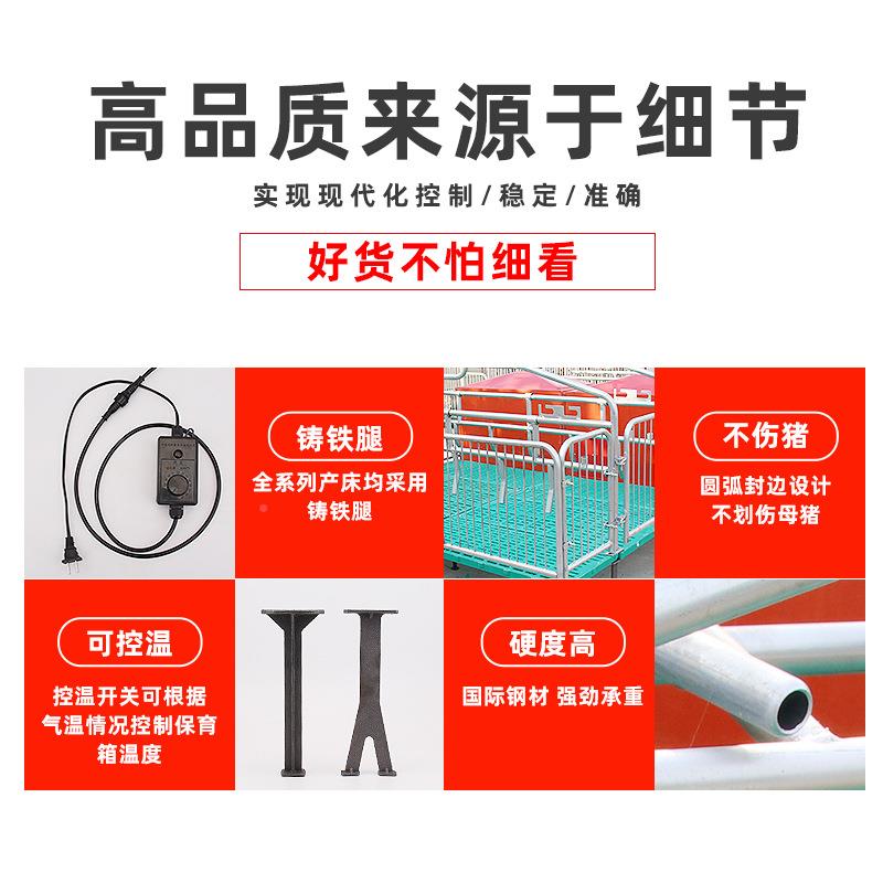 母猪产保育床一栏体复合两用大猪用限位分仔猪栏养猪设备娩ltao10