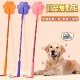 狗狗打狗棒宠物爱心拍训狗神器鞭训犬棍教育狗打棒训练不伤狗用品
