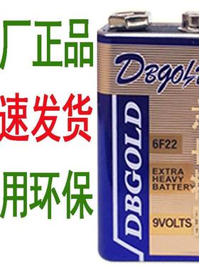 适用于DBGOLD万用能表6F22拾音器吉他寻线仪报警器查线仪1604G 9V电池