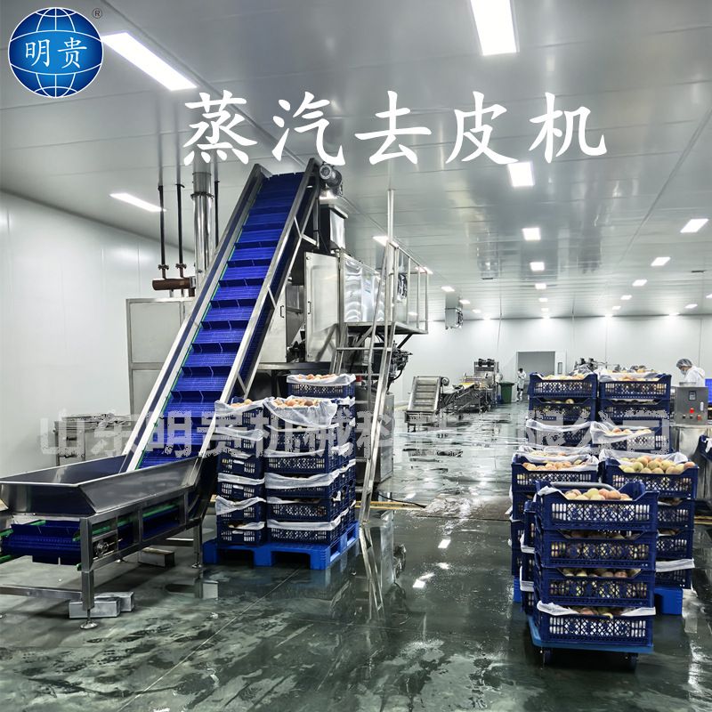 南瓜山药豆蒸汽去皮机 大型果蔬剥皮设备 土豆地瓜热烫快速脱皮机