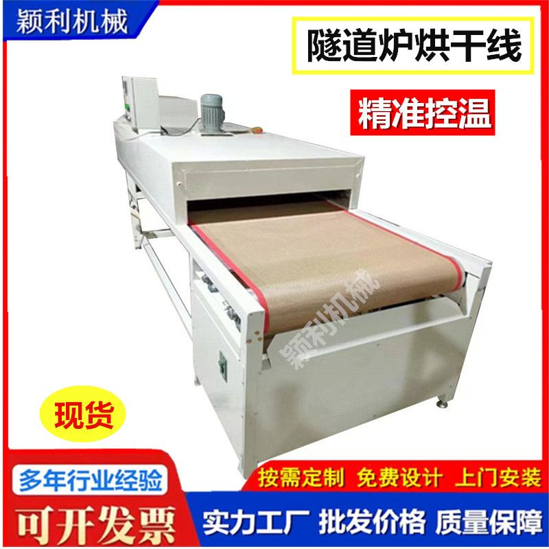 厂家供应隧道式烘干线烘道流水线 网带皮带式流水线 铁佛龙烤漆拉
