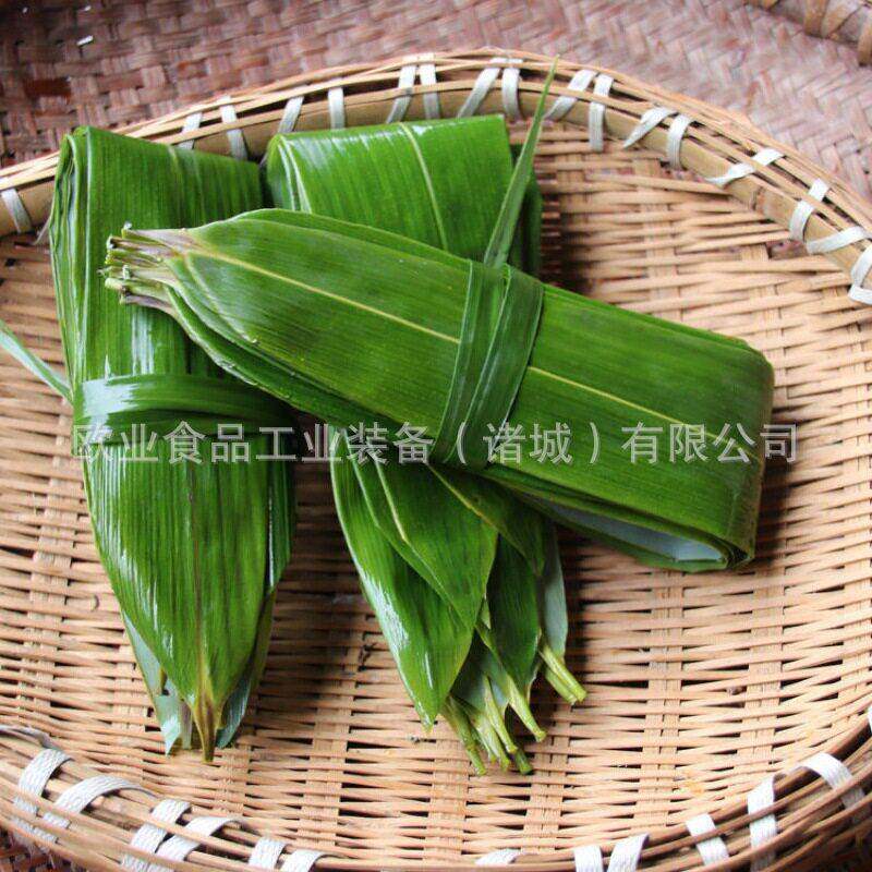 竹叶清洗机 商用柊叶簕古子叶清洗流水线 粽子食品厂加工设备