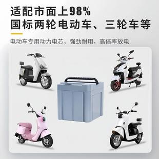 电动车48V20AH60V全新加强型锂电池星恒天能同款 新国标电动车电瓶