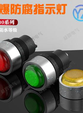 30mm金属防爆指示灯BD8030电源信号灯不锈钢红黄绿色24v220v380v